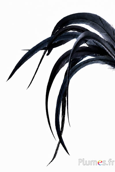 Gallo - 34-37 cm - nero antraciete